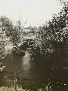 Site of the Indian fish traps, on Fish Trap Creek PRJ 1398 B